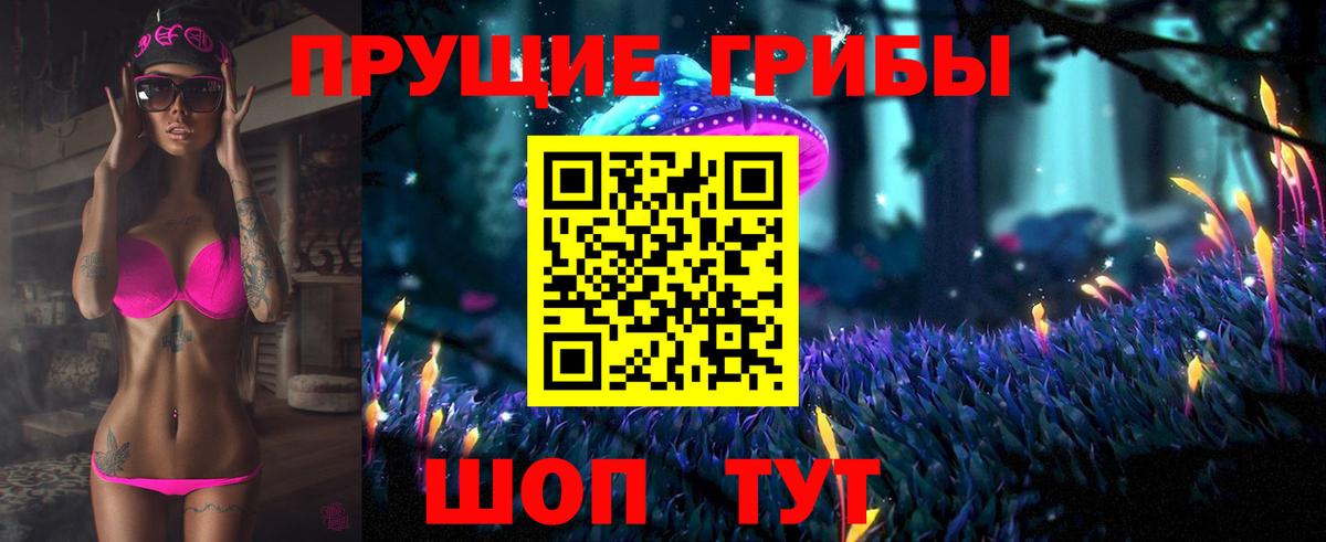 Псилоцибиновые грибы ЛСД  Вход с VPN  Галлюциногенные грибы GOLDEN TEACHER  где купить наркоту  Биробиджан 